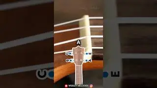 Day 2: How to Tune Your Ukulele 🎉 #shorts #learnukulele #tuning