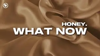 Honey. - What Now (Lyrics)