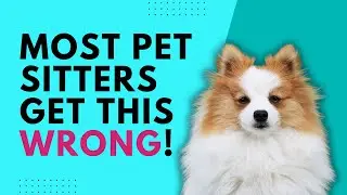 Most Pet Sitters Get This Wrong! | EPISODE 66