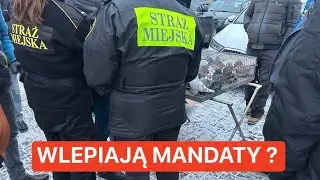 STRAŻ MIEJSKA PRZERYWA HANDEL GOŁĘBIAM ⁉️ 🤬 Targ przy Og&oacute;lnopolskiej wystawie gołębi w KATOWICACH 🔥 