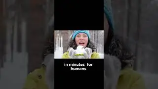 Surviving Extreme Temperatures - Nature's Toughest Creatures! #facts #scientificjourney #quantum