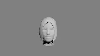 faceanimation