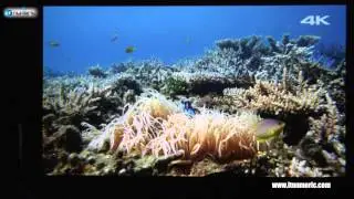 Vid&eacute;oprojecteur Sony VPL-VW500-ES