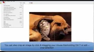 How to resize images with Irfanview