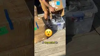 Скоро снова в наличии!