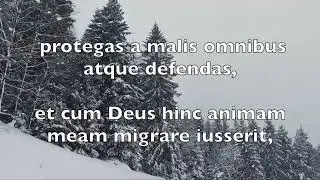 Pray in Latin: Oratio Ad Angelum Custodem (Prayer to One's Guardian Angel)