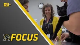 In Focus - College of Applied Studies
