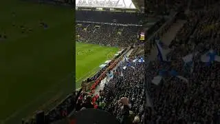 Dortmund - Schalke 2:4 Caligiuri Freisto&szlig;