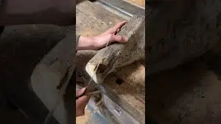 Die DIY-Lampe aus Treibholz