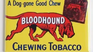 bloodhound chewing tobacco my #favorite plug #dip30 #2024
