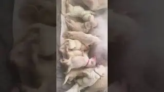 7 часов мучений спустя