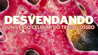 Desvendando o universo celular do tecido &oacute;sseo