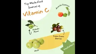 Main Whole Food Sources of Vitamin C Commercially Available in the United States