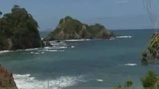 Holiday Houses in New Zealand Tutukaka Coast
