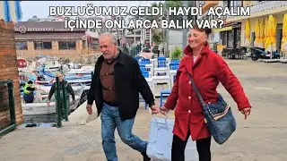 Получили ли мы благословение от нашей морозильной камеры?