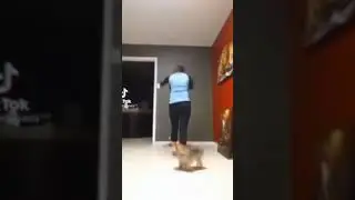 poor dogy😭😂✨#shorts #funny #dogs