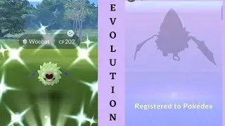 Shiny ✨ Woobat Catching & Evolving| Shiny ✨Swoobat Looks Dope #pokemongo #shinypokemon #shorts