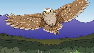 Rockie the Burrowing Owl