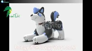 2 type of New design husky #inflatable #puppy #toys