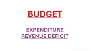 BUDGET - EXPENDITURE AND REVENUE DEFICIT