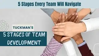 5 Stages every team will navigate - The Tuckman model - Bruce Tuckman