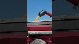 Case 8230 and EZ Trail 1020 in action