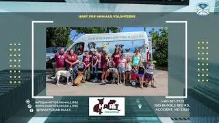 Business Bear Podcast: Episode 6 HART for Animals w/Paula Yudelevit