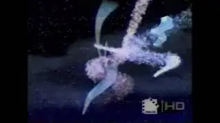 ThrillerLine Intro (TV-MA)/Lions Gate Films/StudioCanal (2004/Partial, 2001)