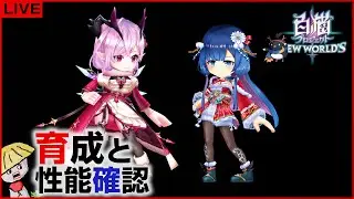 白猫【ライブ配信】クリスマス2025 キャラの育成＆性能確認【Secret Christmas Night】