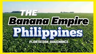 Banana Plantation: Exploring the Philippines' Plantation Dominance