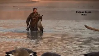 Indiana Goose Hunt
