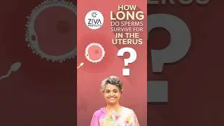 How Long Does Sperm Live | Natural Fertility Chances | Fertility Tips | Dr C Suvarchala | ZIVA