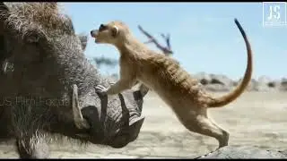 Timon&Pumba find simba   Telugu sean   The lion king 2019 Telugu