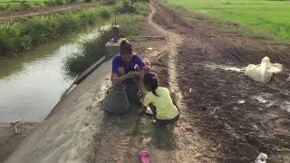 Primitive Fishing - Primitive Survival Tool Cast Net Fishing at The Rice Field #5