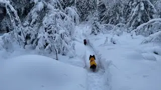 Sunday outdoor activities