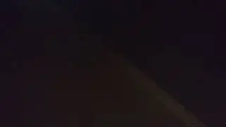 My guinea pig died