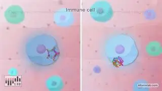 New!! Immunotherapies with Nucleic Acid Nanoparticles (NANPs)