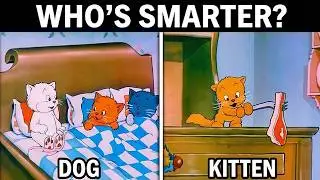 The Merry Kittens (1935) | Golden Age Cartoon