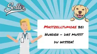 Mastzelltumor beim Hund | Symptome & Behandlung