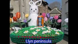 ❤️❤️Irn bru on tour 