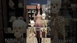 ￼ how does a child skeleton develop? ￼