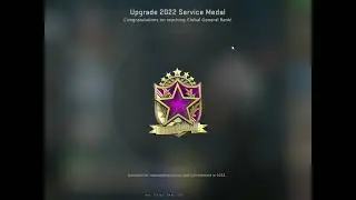 CSGO 2022 Pink Service Medal
