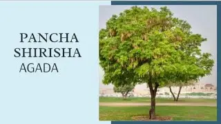 8.5] Panchashirisha Agada || 8] Therapeutic utility of Agada Yoga || Agada Tantra || #Ncism #BAMS 