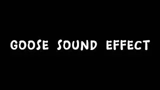 Goose Sound Effect | Free download | No copyright