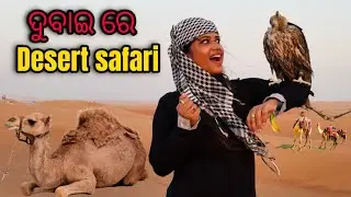 The most famous activity in dubai 🇦🇪| desert safari dubai🐪  