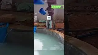 🏭 United Chemical Co., Ltd. &mdash; Your Trusted Sodium Cyanide (NaCN) Factory & Global Mining Supplier