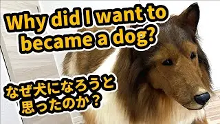 Why did I want to become a dog?　I'll answer some questions!