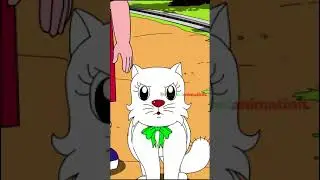 kucing angora #shorts #divatheseries #animation