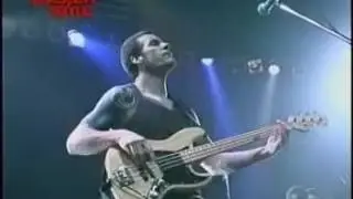 Audioslave live in Japan