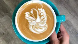 Two-winged Swan